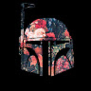 Meet your Posher, Lester